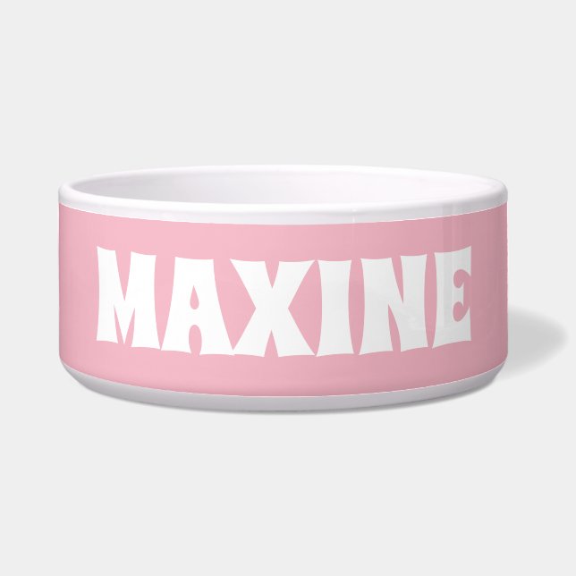 Personalised Name Blueish Teal  and White Dog Bowl (Front)