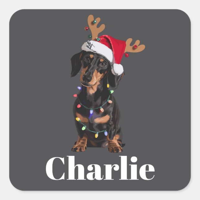 Personalised Name Christmas Dachshund Dog Lights Square Sticker (Front)