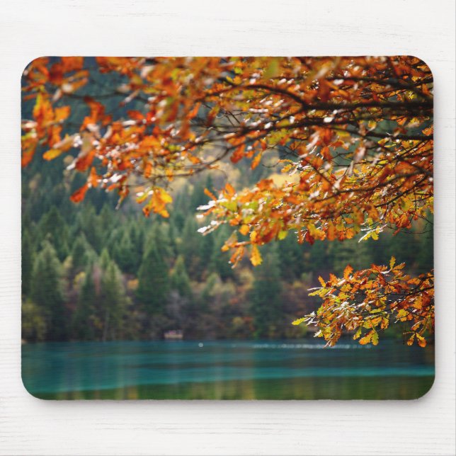 Personalised Nature Photo Modern  Mouse Mat (Front)