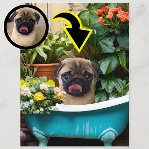 Personalised New Puppy Birth Announcement Photo Postcard
