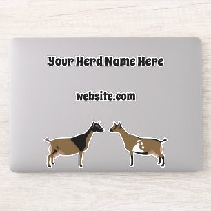 Personalised Nigerian Dwarf Dairy Goat