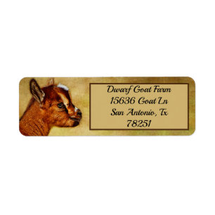 Personalised Nigerian Dwarf Dairy Goat Kid address