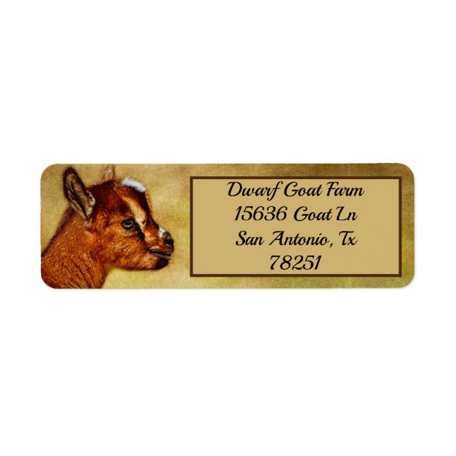 Personalised Nigerian Dwarf Dairy Goat Kid address (Front)
