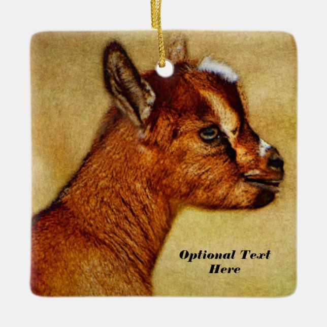 Personalised Nigerian Dwarf Dairy Goat Kid Ceramic Ornament (Front)
