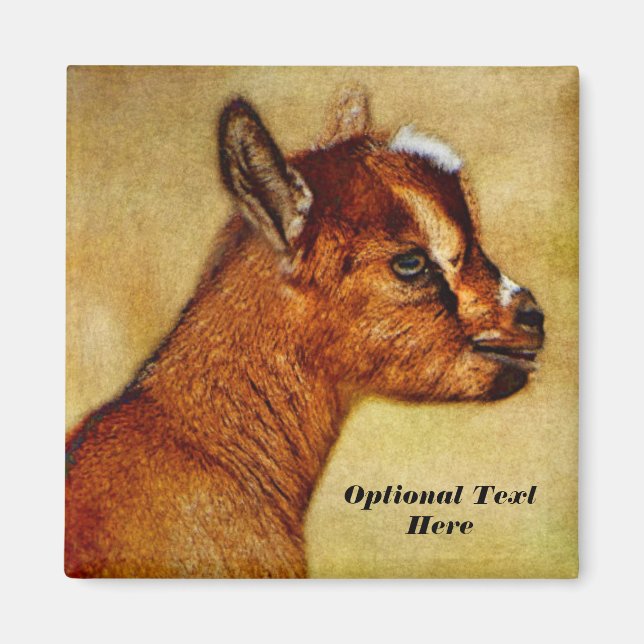 Personalised Nigerian Dwarf Dairy Goat Kid Magnet (Front)