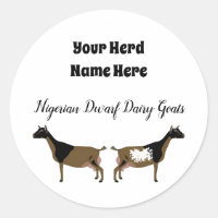 Personalised Nigerian Dwarf Dairy Goat Sticker