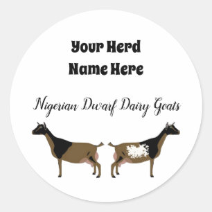 Personalised Nigerian Dwarf Dairy Goat Sticker