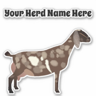 Personalised Nubian Dairy Goat