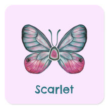 Personalised October Pink Glasswing Butterfly Art