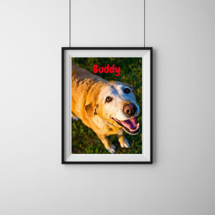 Personalised Older Dog memorial Photo Poster