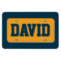 Personalised Orange and Navy Blue License Plate