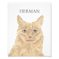 Personalised Orange Maine Coon Art