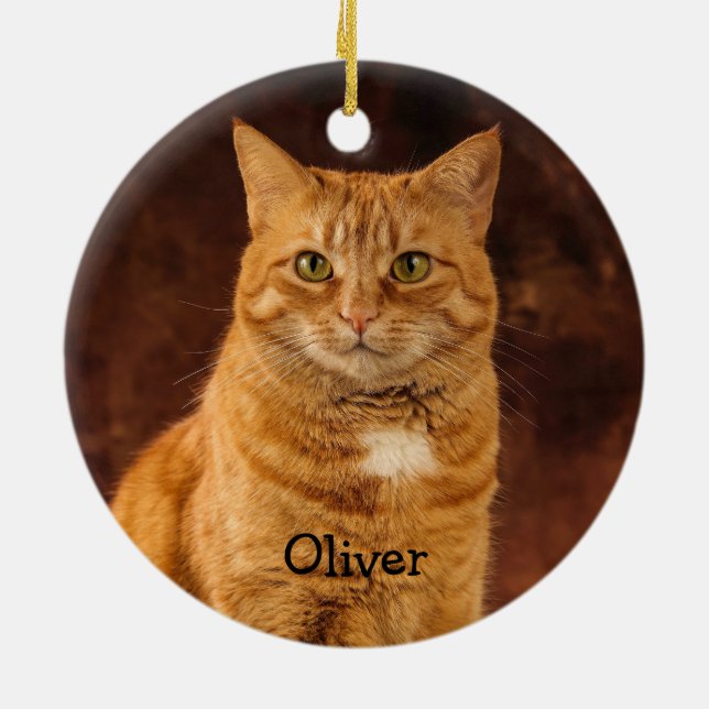 Personalised Orange Tabby Cat Ceramic Tree Decoration (Back)