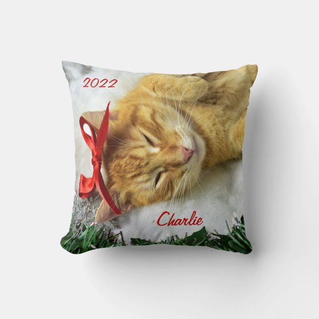 Personalised Orange Tabby Cat Christmas Cushion (Front)