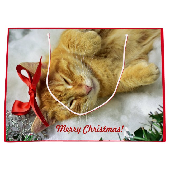 Personalised Orange Tabby Cat Christmas Large Gift Bag (Front)