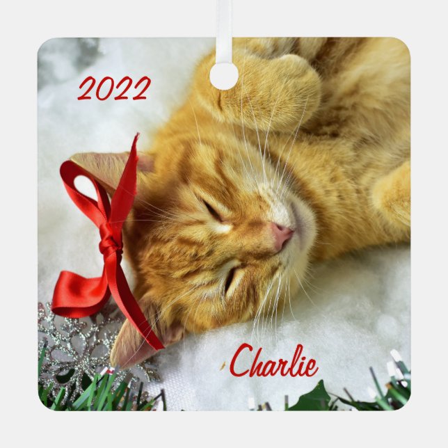 Personalised Orange Tabby Cat Christmas Metal Tree Decoration (Front)