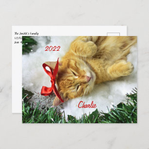 Personalised Orange Tabby Cat Christmas Postcard