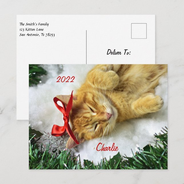 Personalised Orange Tabby Cat Christmas Postcard (Front/Back)