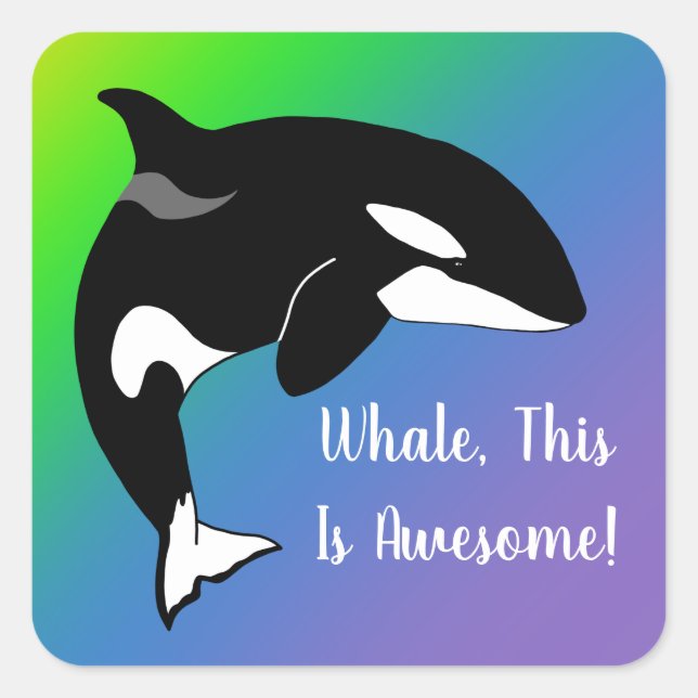 Personalised Orca Killer Whale  Square Sticker (Front)