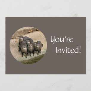 Personalised Otters Day at the Zoo Birthday Party Invitation