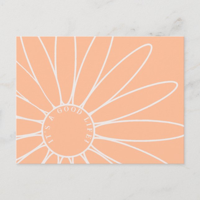 Personalised Peach Fuzz Daisy Flower Postcard (Front)