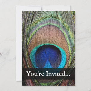 Personalised Peacock Feather Invitation
