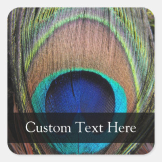 Personalised Peacock Feather Square Sticker