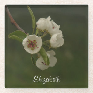 Personalised Pear Blossoms Photo Glass Coaster