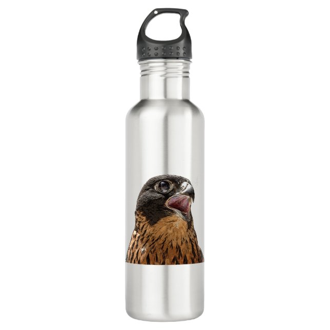 Personalised Peregrine Falcon 710 Ml Water Bottle (Front)