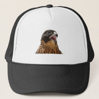 Personalised Peregrine Falcon Trucker Hat