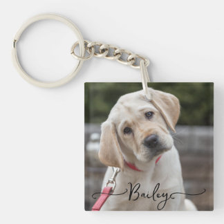 Personalised Pet 2 Photo and Name Special Keepsake Key Ring