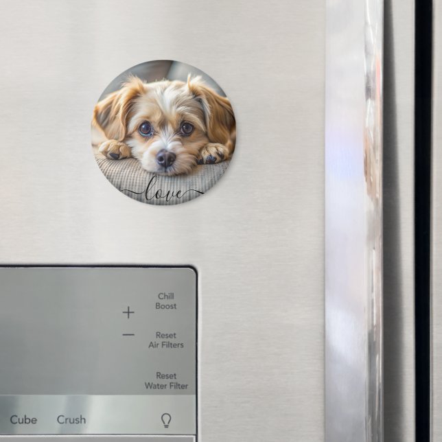 Personalised pet 2 photo dog lover keepsake name  magnet (In Situ (Fridge))