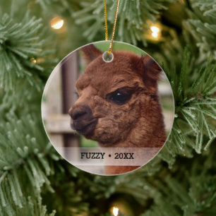 Personalised Pet Alpaca Photo Name Christmas Tree Ceramic Tree Decoration