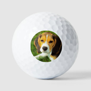 Personalised Pet Beagle Dog Photo Golf Balls