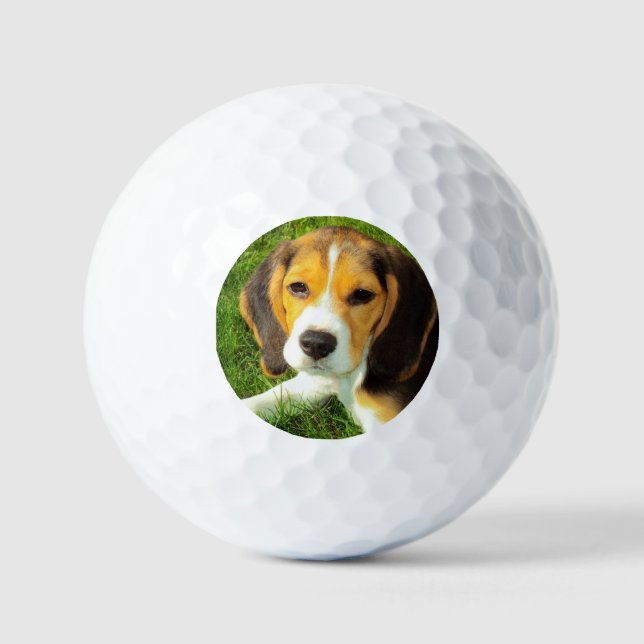 Personalised Pet Beagle Dog Photo Golf Balls (Front)