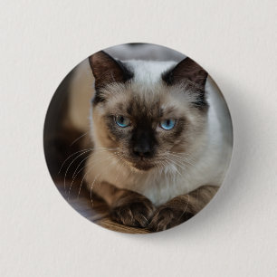 Personalised Pet Cat Image Add Your Own Photo 6 Cm Round Badge