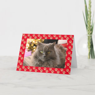 Personalised Pet Cat Meowy Christmas Card