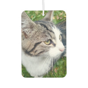 Personalised pet cat photo car air freshener scent