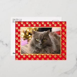 Personalised Pet Cat Photo Meowy Christmas Gold Foil Holiday Postcard