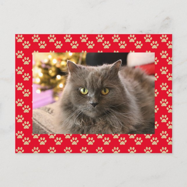 Personalised Pet Cat Photo Meowy Christmas Holiday Postcard (Front)