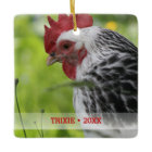 Personalised Pet Chicken Photo Christmas Tree