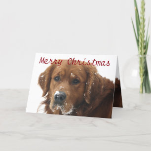 Personalised Pet Christmas Card
