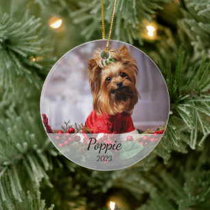 Personalised Pet Christmas Ornament