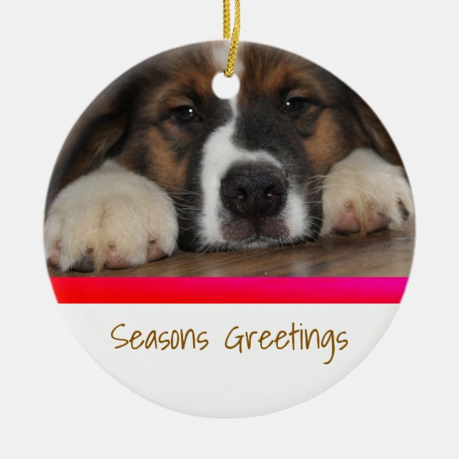 Personalised Pet Christmas Ornament (Front)