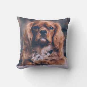 Personalised Pet Cushion