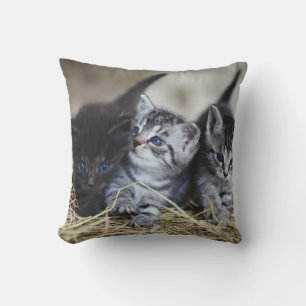 Personalised Pet Cushion