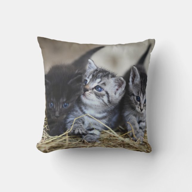 Personalised Pet Cushion (Front)