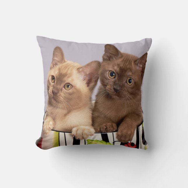 Personalised Pet Cushion (Front)