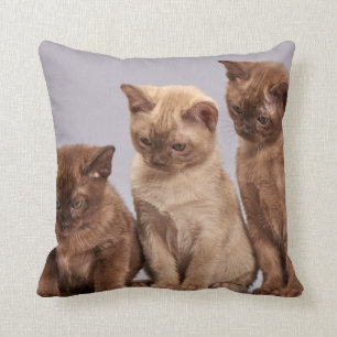 Personalised Pet Cushion