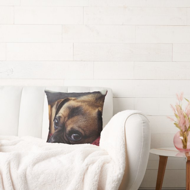 Personalised Pet Cushion (Couch)